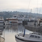 The Seattle Marina