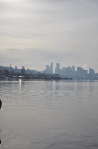 The Seattle Marina